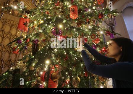 Royal Collection Trust Bedienstete verleiht den letzten Schliff ein 20ft Nordmann-Tanne in St Georges Hall, als Teil der Weihnachtsschmuck in Windsor Castle, Berkshire aufgestellt wird. Stockfoto