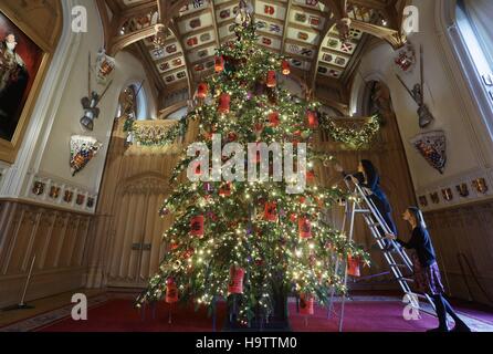 Royal Collection Trust Mitarbeiter Schliff den letzten für ein 20ft Nordmann-Tanne in St Georges Hall, als Teil der Weihnachtsschmuck in Windsor Castle, Berkshire aufgestellt wird. Stockfoto