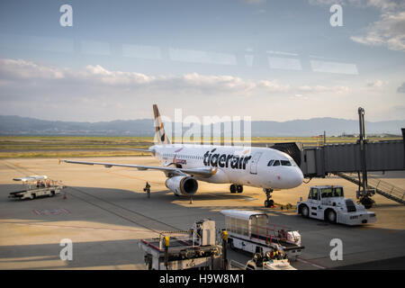 Osaka, Japan - Oktober 2016: Tiger Air Flugzeug am Kansai International Airport in Osaka, Japan. Stockfoto