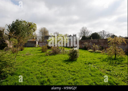 Dem alten Pächter Garten in einem neuen Gemüsegarten in Avebury Manor, Wiltshire umgewandelt werden. Stockfoto