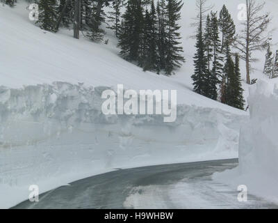 Yellowstone Top von Sylvan Pass Richtung Osten Stockfoto