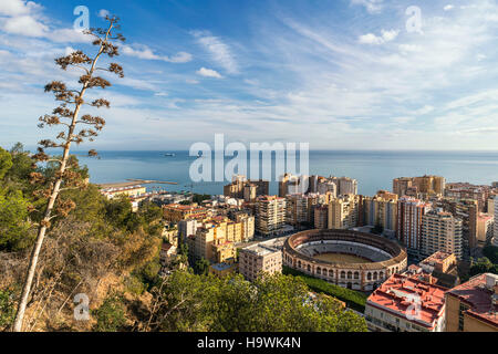 Plaza de Toros, die Stierkampfarena, Malaga, Andalusien, Spanien Stockfoto