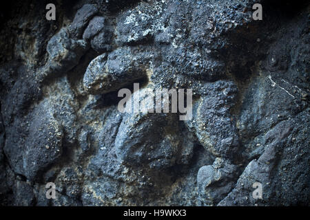 Ein fossiler Theropodendruck bietet einen Einblick in die prähistorische Welt und zeigt die Abdrücke, die ein Dinosaurierfuß hinterlassen hat. Dieses Exemplar liefert wertvolle Informationen über alte Ökosysteme und Tierverhalten. Stockfoto