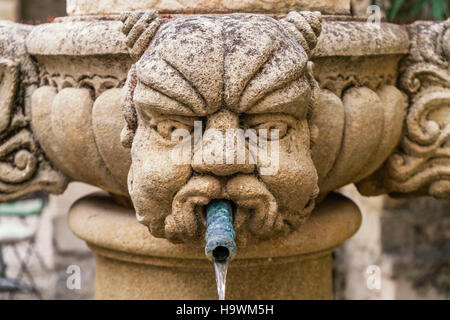 Die Fontaine des Mascarons, Steinbrunnen im historischen Dorf von Séguret, 15. Jahrhundert, Vaucluse, Provence, Frankreich Stockfoto