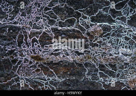 Ein fesselndes Foto mit dem Titel *Ice-Spider on the Wall*, das die komplizierte Eisbildung an einer Wand zeigt, die einem Spinnennetz ähnelt. Das Bild fängt die gefrorene Schönheit und die zarten Muster der Natur ein. Stockfoto