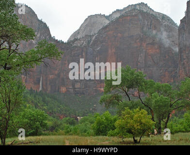 Der Heaps Canyon, Teil des Zion-Nationalparks, ist eine atemberaubende natürliche Formation, die sich durch steile Klippen und zerklüftetes Gelände auszeichnet. Dieses Bild zeigt die geologischen Merkmale des Canyons, der für seine dramatische Schönheit und Wandermöglichkeiten bekannt ist. Stockfoto