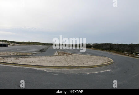 South Ocean Beach in Assateague Island National Seashore bietet eine malerische Küstenlandschaft. Die Gegend ist bekannt für ihre unberührten Strände und wilde Pferde, die frei am Ufer herumstreifen. Stockfoto