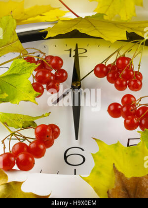 06:00. Ziffernblatt mit Blättern und rot Viburnum. Stockfoto