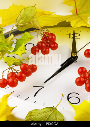 07:00. Ziffernblatt mit Blättern und rot Viburnum. Stockfoto