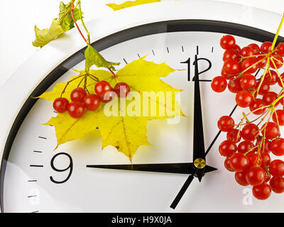 09:00. Ziffernblatt mit Blättern und Viburnum. Stockfoto