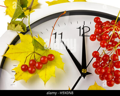 11:00. Ziffernblatt mit Blättern und reif Viburnum. Stockfoto