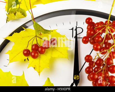 12:00. Ziffernblatt mit Blättern und reif Viburnum. Stockfoto