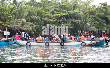 Boot Safari In Madu River Sri Lanka Stockfoto