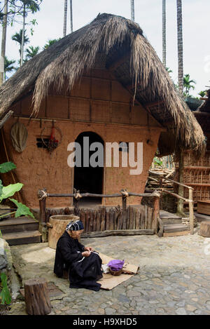 Dorf Binlang der Li und Miao Minderheiten in der Nähe von Sanya, Insel Hainan, China Stockfoto