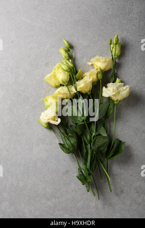 Blumen auf konkreten Hintergrund, Ansicht von oben Stockfoto