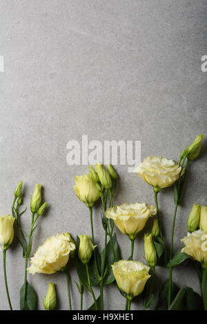 Blumen auf grauem Hintergrund, Ansicht von oben Stockfoto