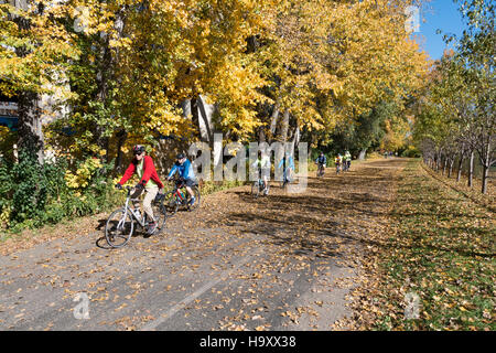 Gruppe von älteren Erwachsenen genießen eine herbstliche Fahrradtour entlang der Cedar Lake Regional Trail. St. Louis Park, Minnesota MN USA Stockfoto