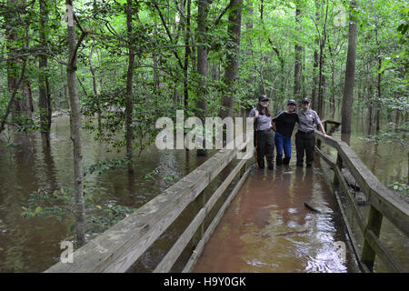 Congaree Flut Mai 2013 Stockfoto