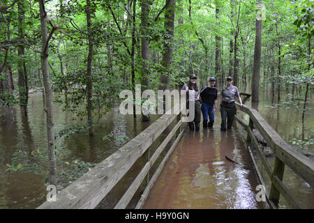 Congaree Flut Mai 2013 Stockfoto