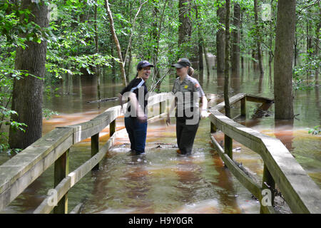 Congaree Flut Mai 2013 Stockfoto