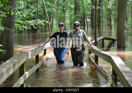 Congaree Flut Mai 2013 Stockfoto