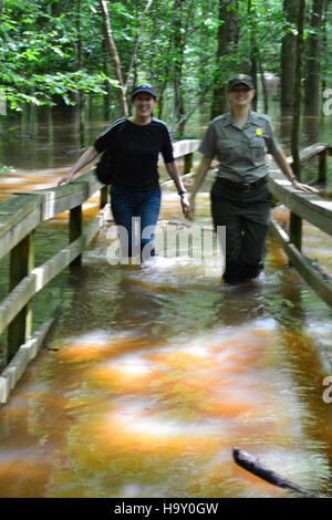 Congaree Flut Mai 2013 Stockfoto