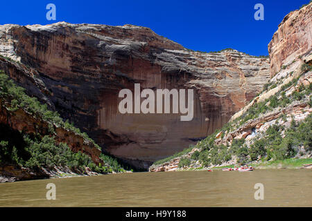 Das Dinosaur National Monument in Colorado und Utah ist ein geschütztes Gebiet mit fossilen Dinosaurierknochen und bietet Aufklärungsmöglichkeiten über das prähistorische Leben. Besucher können die fossilen Steinbrüche des Monuments erkunden und mehr über die wissenschaftlichen Erkenntnisse zu Dinosaurierarten und ihrer Umwelt erfahren. Stockfoto