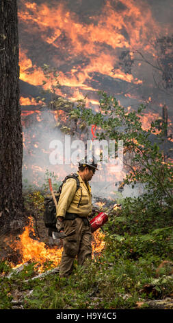 Das Big Windy Complex Wildlands Fire in Oregon wurde vom USDA Forest Service und den interinstitutionellen Teams verwaltet. Der Brand unterstreicht die Rolle des Waldbrandmanagements beim Schutz der Ökosysteme und bei der Verhinderung einer Ausbreitung. Stockfoto