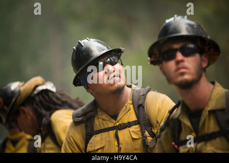 Das Big Windy Complex Wildlands Fire in Oregon erforderte koordinierte Anstrengungen mehrerer Behörden, um das Risiko von Waldbränden zu bewältigen und die natürlichen Ressourcen in der Region zu schützen. Stockfoto