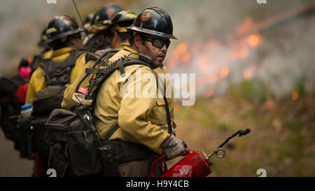Der Big Windy Complex Wildlands Fire in Galice, Oregon, wurde vom USDA Forest Service verwaltet und war eine große Feuerreaktion, die darauf abzielte, Umweltschäden zu minimieren und die Gesundheit der Wälder langfristig zu sichern. Stockfoto