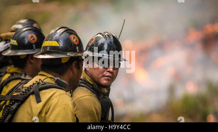 Das Big Windy Complex Wildlands Fire, das sich in Oregon ereignete, wurde von mehreren Behörden verwaltet, darunter dem USDA Forest Service. Die Auswirkungen des Feuers auf lokale Ökosysteme und Gemeinden unterstrichen die Bedeutung effektiver Strategien zur Brandbekämpfung und -Wiedergewinnung. Stockfoto