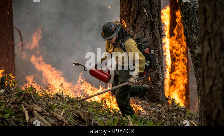Der Big Windy Complex Wildlands Fire in Oregon beinhaltete koordinierte Anstrengungen zwischen USDA Forest Service und interinstitutionellen Partnern zur Bekämpfung von Waldbränden, wobei der Schwerpunkt auf der Erhaltung von Ökosystemen und der Reduzierung des Brandrisikos lag. Stockfoto