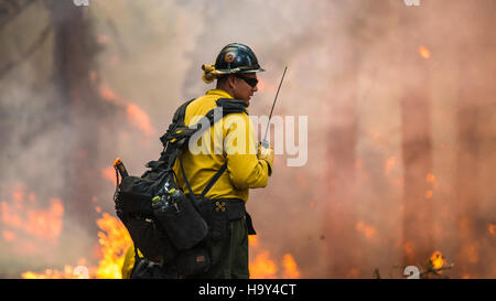 Der Big Windy Complex Wildlands Fire in Galice und Merlin, Oregon, wurde vom USDA Forest Service und anderen interinstitutionellen Gruppen verwaltet und konzentrierte sich auf die Beherrschung von Waldbränden und die Wiedergewinnung von Waldbränden in von Waldbränden bedrohten Gebieten. Stockfoto