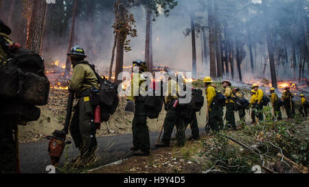 Der Big Windy Complex Wildlands Fire in Oregon, der vom U.S. Forest Service und USDA verwaltet wurde, umfasste erhebliche Maßnahmen zur Bekämpfung von Waldbränden und zur Wiederherstellung von Waldbränden, die auf den Schutz öffentlicher Flächen und Ökosysteme in der Region ausgerichtet waren. Stockfoto