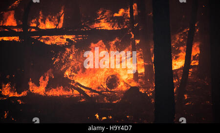 Der Big Windy Complex Wildlands Fire in Galice, Oregon, zeigt die Bemühungen des USDA Forest Service bei der Waldbrandbewirtschaftung und dem Landschutz bei Naturkatastrophen. Stockfoto