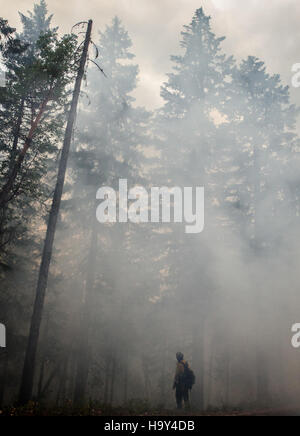 Der Big Windy Complex Wildlands Fire in Oregon, der von USDA Forest Service verwaltet wird, stellt ein bedeutendes Ereignis für die Waldbrandbewirtschaftung und den Landschutz in den USA dar Stockfoto