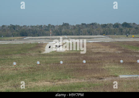 Der Animal and Plant Health Inspection Service (APHIS) des USDA überwacht die Gesundheit und Sicherheit von Tieren und Pflanzen und verhindert so die Ausbreitung von Krankheiten und Schädlingen. Die Bemühungen der Behörde gewährleisten die Integrität der landwirtschaftlichen Systeme und die Sicherheit der US-Lebensmittelversorgung. Stockfoto