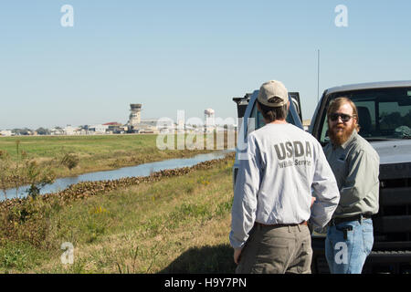 Der Animal and Plant Health Inspection Service (APHIS) des USDA spielt eine entscheidende Rolle beim Schutz der US-Landwirtschaft und der öffentlichen Gesundheit durch die Regulierung und Überwachung von Tier- und Pflanzenkrankheiten und Schädlingen. Stockfoto
