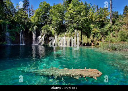 Nationalpark Plitvicer Seen - Nationalpark wurde 1949 gegründet und befindet sich in Kroatien. Stockfoto