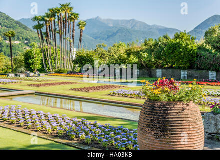 Garten der Villa Taranto am Lago Maggiore, Pallanza, Piemont, Italien Stockfoto