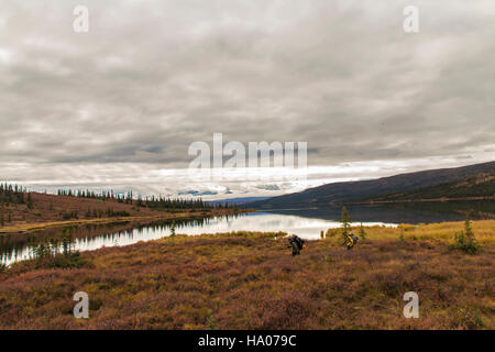 Landschaftsbilder von Alaska Stockfoto