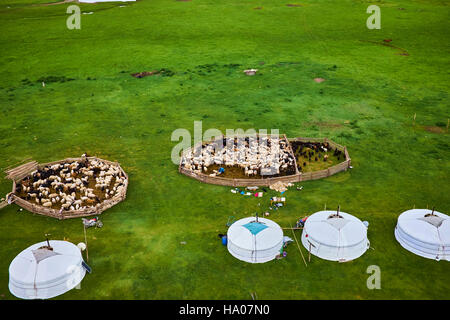 Mongolei, Provinz Arkhangai, Jurte Nomadencamp in der steppe Stockfoto