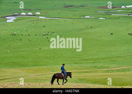 Mongolei, Provinz Arkhangai, Jurte Nomadencamp in der Steppe, mongolische horserider Stockfoto