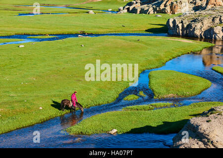 Mongolei, Provinz Arkhangai, mongolische Horserider in der steppe Stockfoto