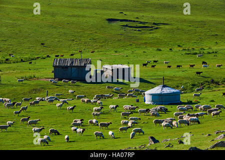 Mongolei, Ovorkhangai Provinz, Orkhon Tal, Nomadencamp, Jurte Stockfoto