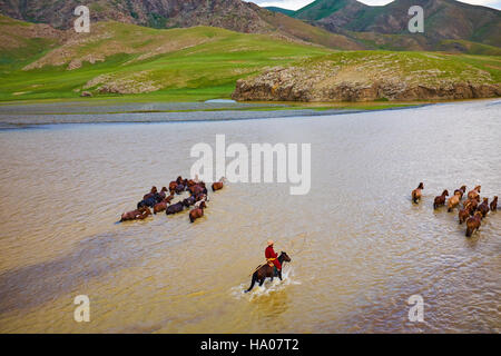 Mongolei, Ovorkhangai Provinz, Orkhon Tal, Orkhon Fluss Nomadencamp, mongolische Horserider mit ihrer Herde von Pferden, die Überquerung des Flusses Stockfoto