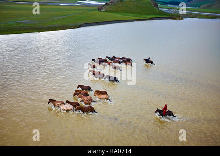 Mongolei, Ovorkhangai Provinz, Orkhon Tal, Orkhon Fluss Nomadencamp, mongolische Horserider mit ihrer Herde von Pferden, die Überquerung des Flusses Stockfoto