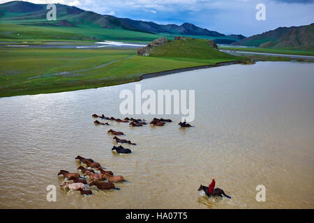 Mongolei, Ovorkhangai Provinz, Orkhon Tal, Orkhon Fluss Nomadencamp, mongolische Horserider mit ihrer Herde von Pferden, die Überquerung des Flusses Stockfoto