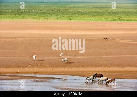 Mongolei, Provinz Zavkhan, menschenleeren Landschaft aus Sanddünen in der steppe Stockfoto