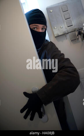 Housebreaker Stockfoto